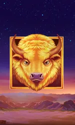 Buffalo's Sun 2